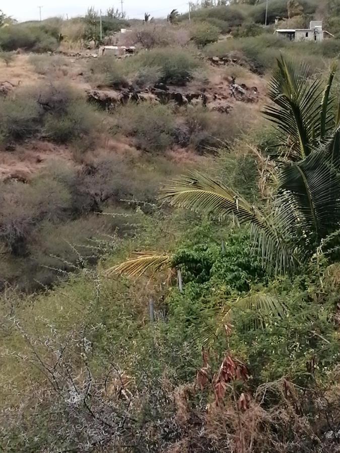 Eagles Nest Residence Bambou Bagian luar foto